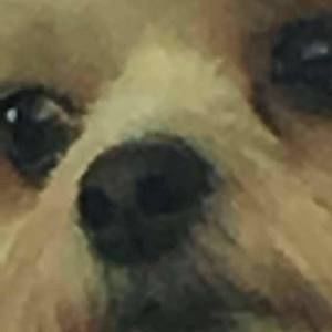 Meet your Posher, Logan